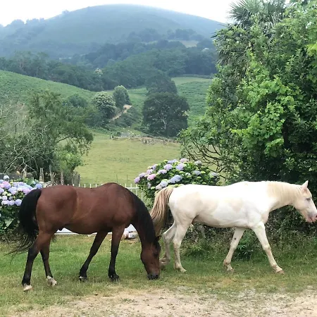 Un Ecrin Dans La Nature Holiday home *