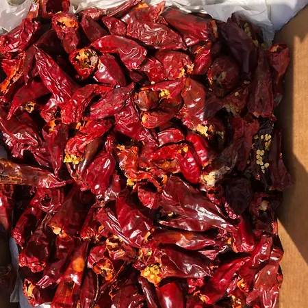 Un Ecrin Dans La Nature בית נופש *