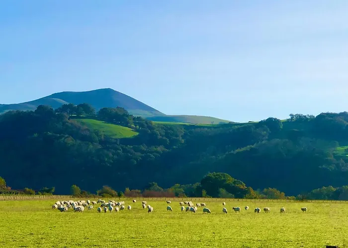 Un Ecrin Dans La Nature *