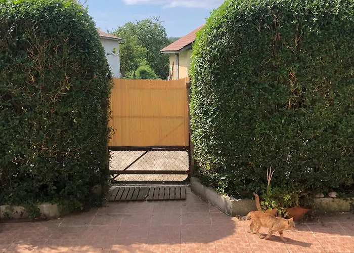 Semesterbostad Un Ecrin Dans La Nature