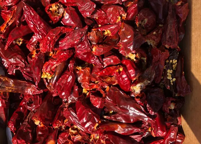 Un Ecrin Dans La Nature بيت للعطل *