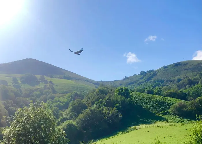 Un Ecrin Dans La Nature Semesterbostad *